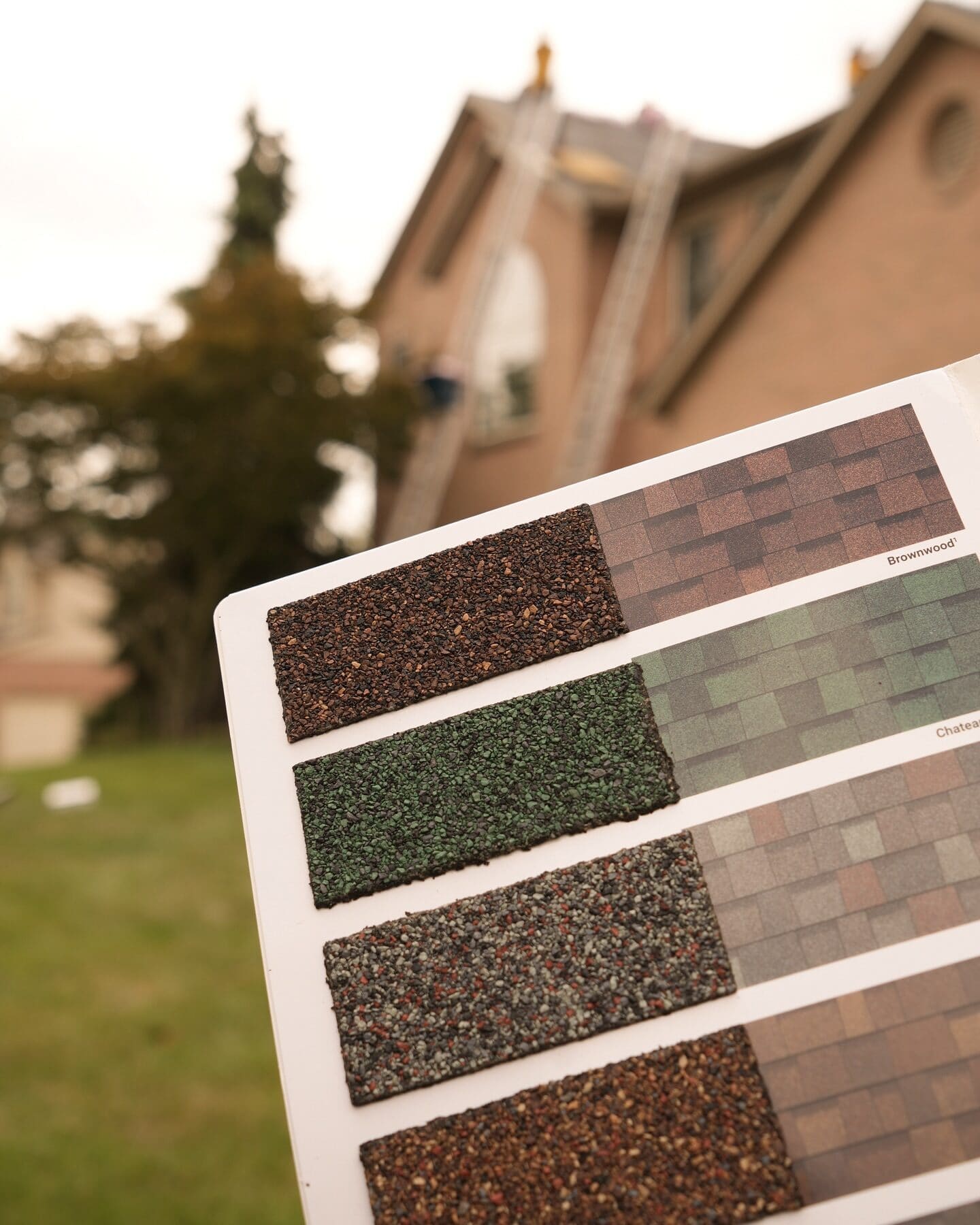 Shingle color samples displayed in front of an Oakley home during a roof consultation