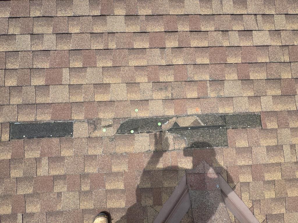 Cincinnati roofer documenting hail damage and granule loss on asphalt shingles for an insurance claim inspection